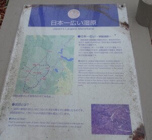 3日目　日本一広い湿原